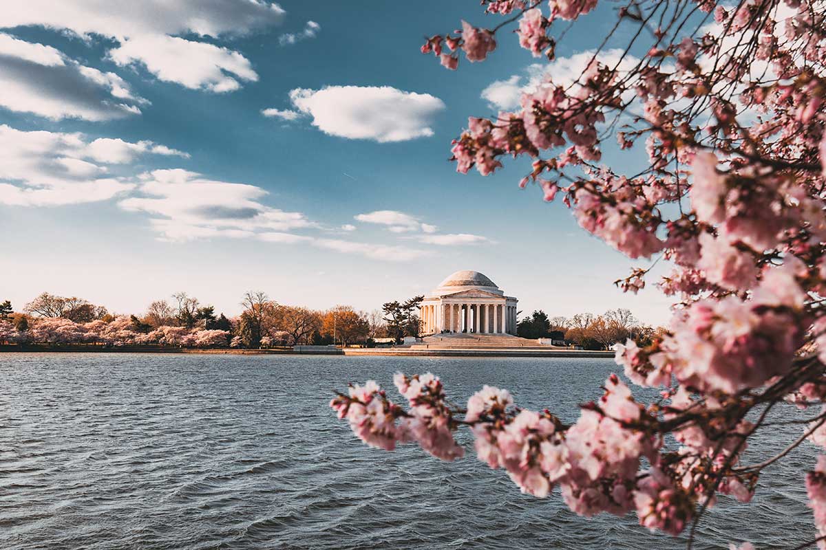 15 Things That Prove D.C. Is Cooler Than You Think